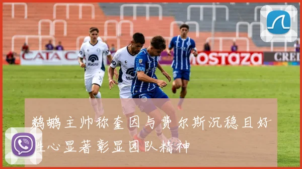 鹈鹕主帅称奎因与费尔斯沉稳且好胜心显著彰显团队精神