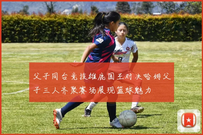 父子同台竞技雄鹿国王对决哈姆父子三人齐聚赛场展现篮球魅力
