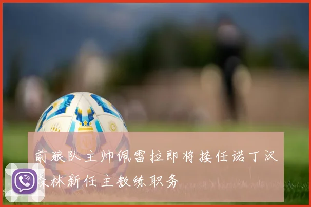 前狼队主帅佩雷拉即将接任诺丁汉森林新任主教练职务
